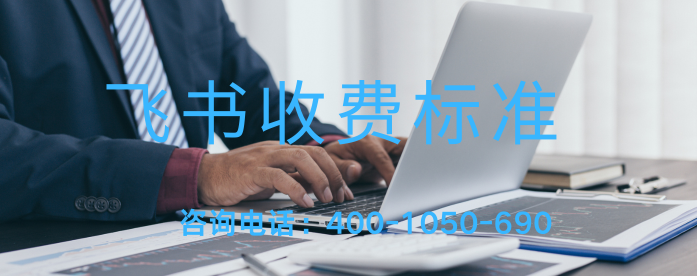 企业版飞书一年费用多少钱？